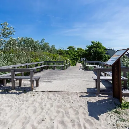Strandläufer 03